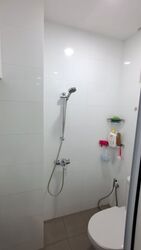 Versailles (D15), Condominium #594685641